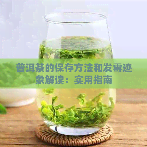 普洱茶的保存方法和发霉迹象解读：实用指南