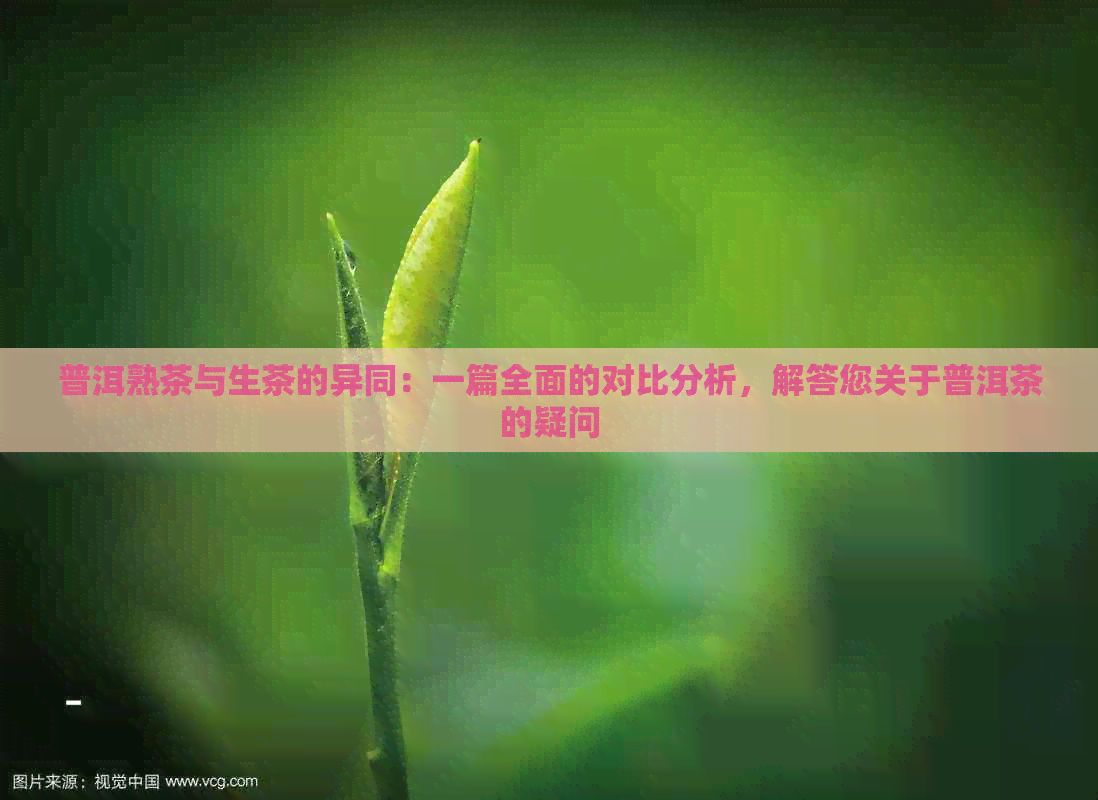 普洱熟茶与生茶的异同：一篇全面的对比分析，解答您关于普洱茶的疑问