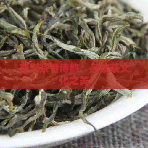 普洱茶香诗韵：品读茶文化之美