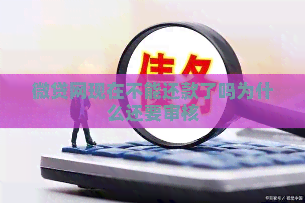 微贷网现在不能还款了吗为什么还要审核