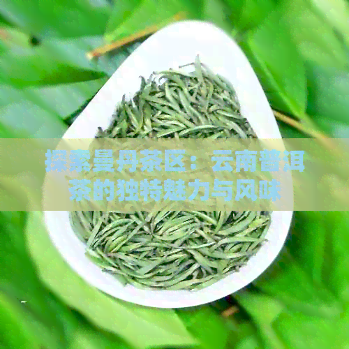 探索曼丹茶区：云南普洱茶的独特魅力与风味