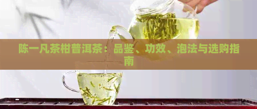 陈一凡茶柑普洱茶：品鉴、功效、泡法与选购指南