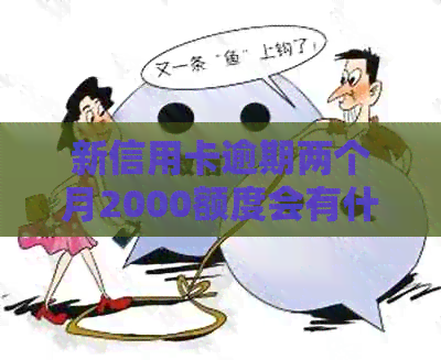 新信用卡逾期两个月2000额度会有什么后果？如何解决这个问题？