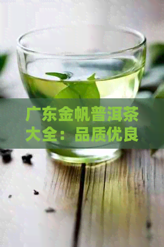 广东金帆普洱茶大全：品质优良的茶叶产品指南