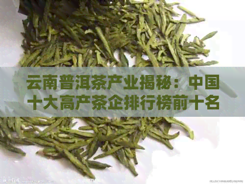 云南普洱茶产业揭秘：中国十大高产茶企排行榜前十名有哪些？