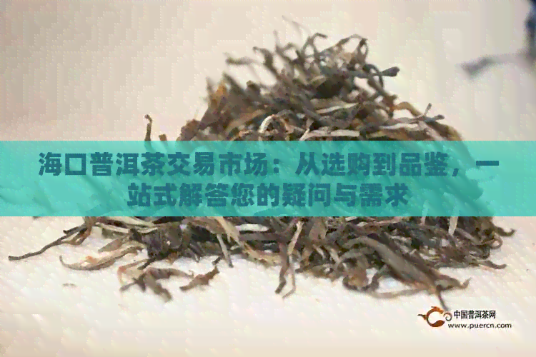 海口普洱茶交易市场：从选购到品鉴，一站式解答您的疑问与需求