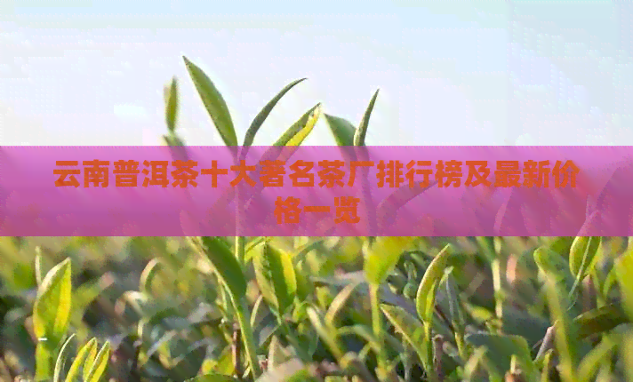 云南普洱茶十大著名茶厂排行榜及最新价格一览