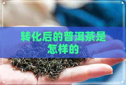 转化后的普洱茶是怎样的