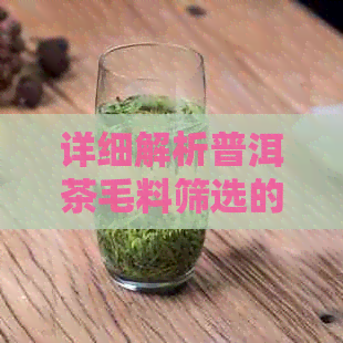 详细解析普洱茶毛料筛选的科学工艺与精细流程