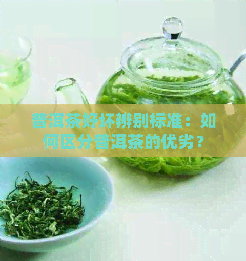 普洱茶好坏辨别标准：如何区分普洱茶的优劣？