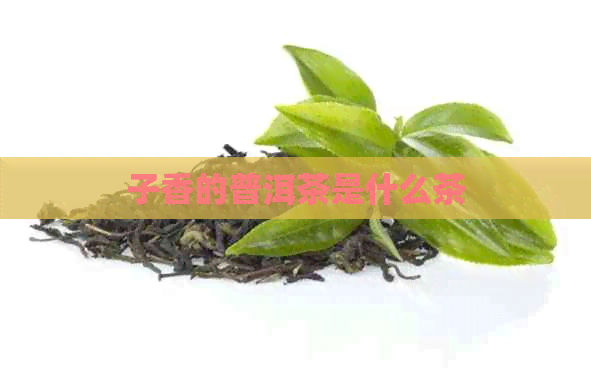 子香的普洱茶是什么茶