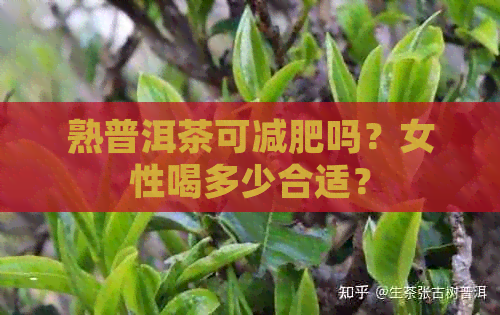 熟普洱茶可减肥吗？女性喝多少合适？