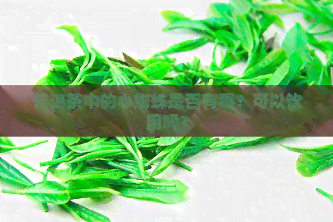 普洱茶中的小蜘蛛是否有？可以饮用吗？