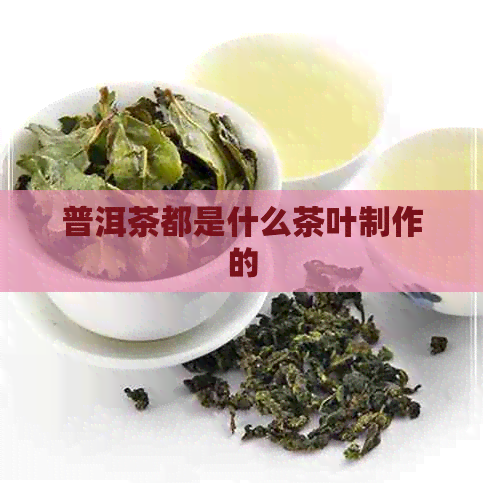 普洱茶都是什么茶叶制作的