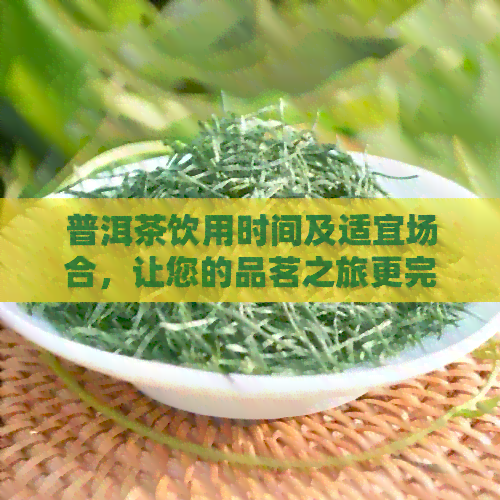 普洱茶饮用时间及适宜场合，让您的品茗之旅更完美