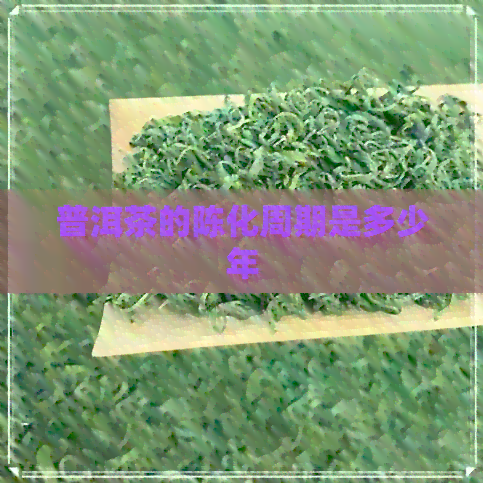 普洱茶的陈化周期是多少年