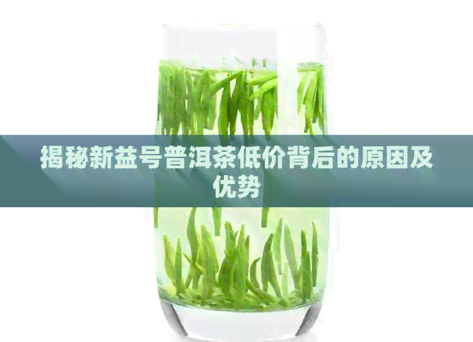 揭秘新益号普洱茶低价背后的原因及优势