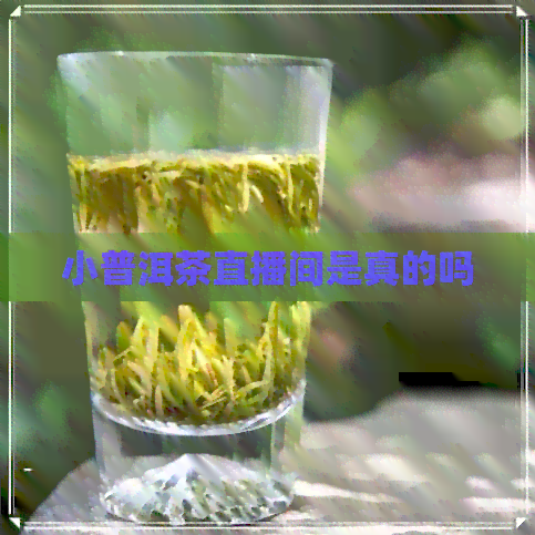 小普洱茶直播间是真的吗