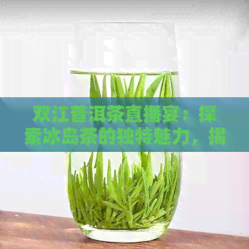 双江普洱茶直播宴：探索冰岛茶的独特魅力，揭秘中国排行前三的推荐平台