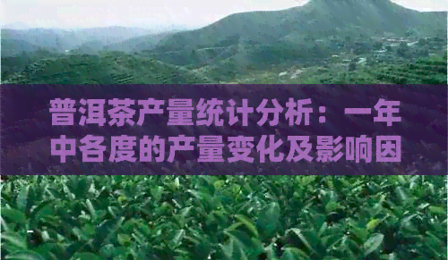 普洱茶产量统计分析：一年中各度的产量变化及影响因素解析