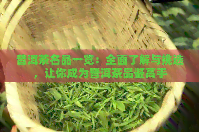 普洱茶名品一览：全面了解与挑选，让你成为普洱茶品鉴高手