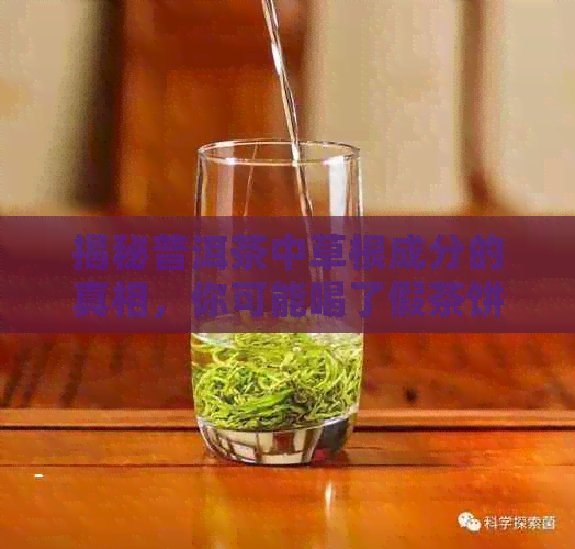 揭秘普洱茶中草根成分的真相，你可能喝了假茶饼！