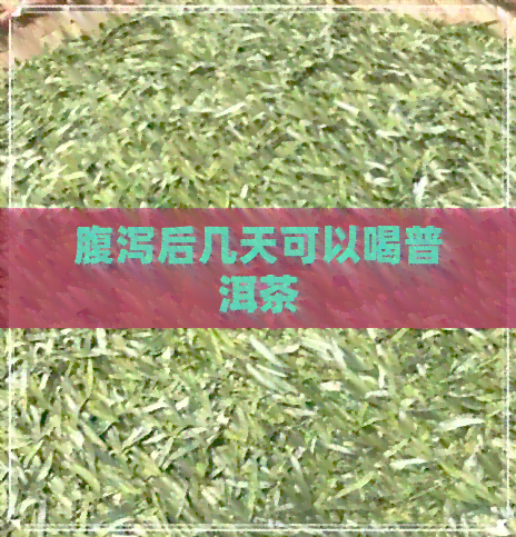 腹泻后几天可以喝普洱茶