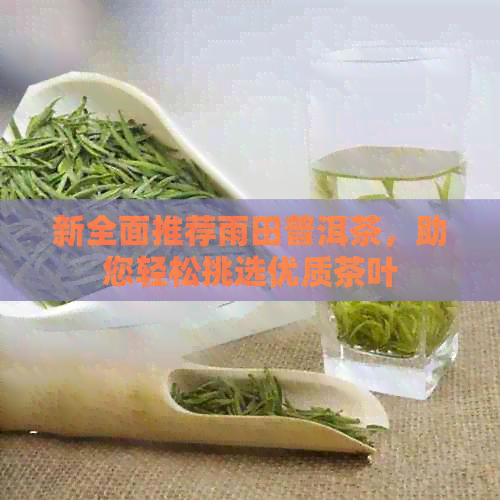 新全面推荐雨田普洱茶，助您轻松挑选优质茶叶