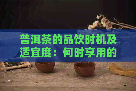 普洱茶的品饮时机及适宜度：何时享用的普洱茶？