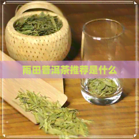 雨田普洱茶推荐是什么