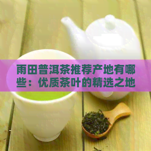 雨田普洱茶推荐产地有哪些：优质茶叶的精选之地