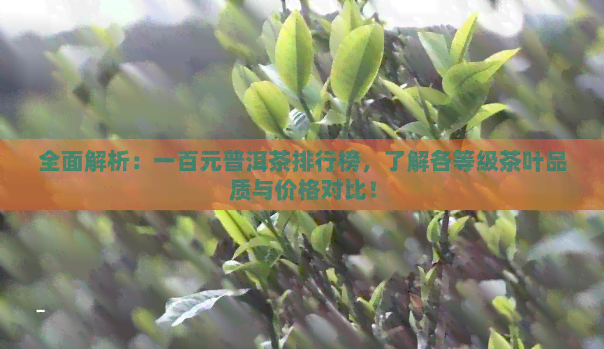 全面解析：一百元普洱茶排行榜，了解各等级茶叶品质与价格对比！