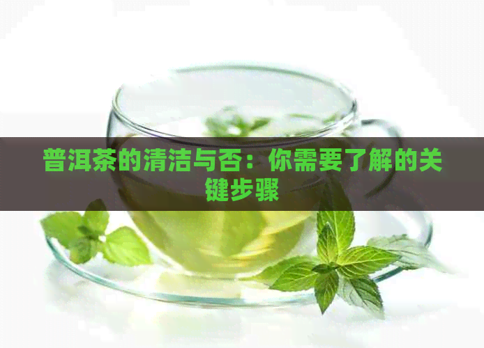 普洱茶的清洁与否：你需要了解的关键步骤