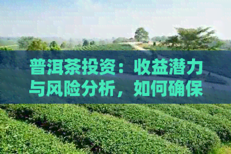 普洱茶投资：收益潜力与风险分析，如何确保盈利？