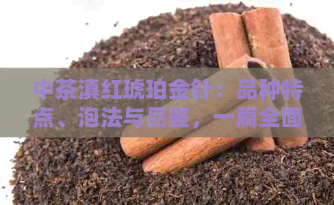 中茶滇红琥珀金针：品种特点、泡法与品鉴，一篇全面解析