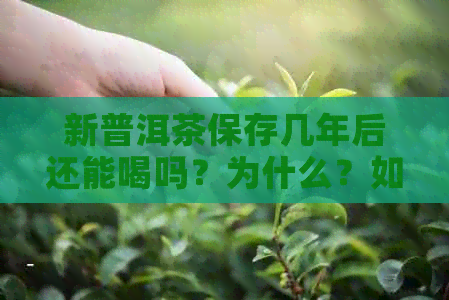 新普洱茶保存几年后还能喝吗？为什么？如何判断普洱茶是否过期？