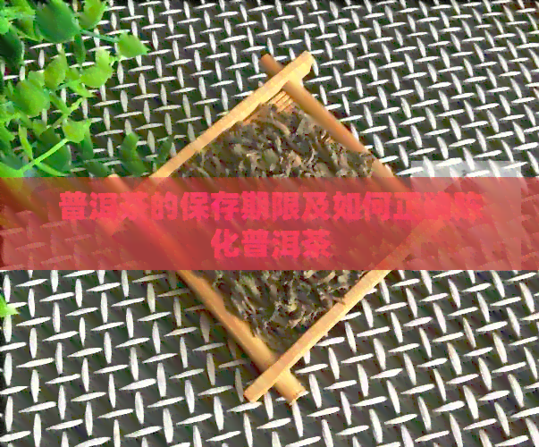 普洱茶的保存期限及如何正确陈化普洱茶