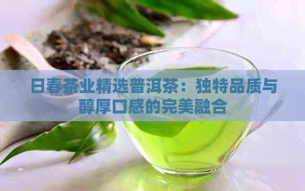 日春茶业精选普洱茶：独特品质与醇厚口感的完美融合