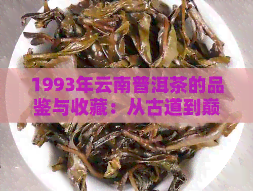 1993年云南普洱茶的品鉴与收藏：从古道到巅峰