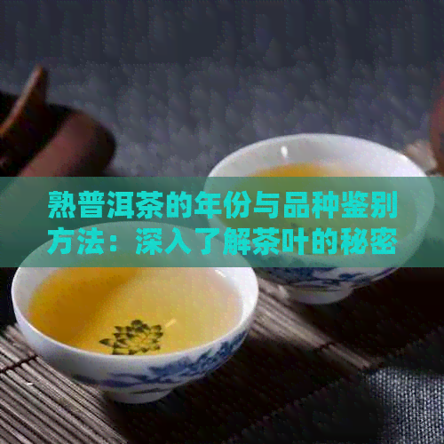 熟普洱茶的年份与品种鉴别方法：深入了解茶叶的秘密