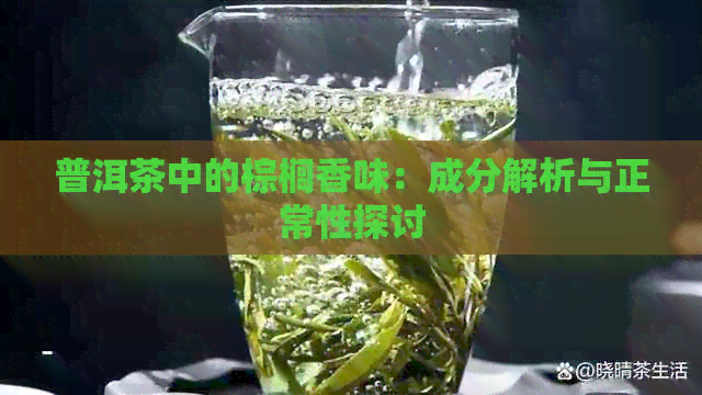 普洱茶中的棕榈香味：成分解析与正常性探讨