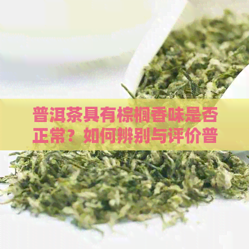 普洱茶具有棕榈香味是否正常？如何辨别与评价普洱茶的棕榈香味？