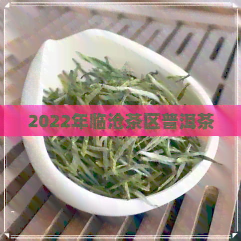 2022年临沧茶区普洱茶