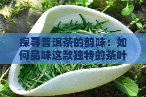 探寻普洱茶的韵味：如何品味这款独特的茶叶