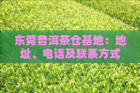 东莞普洱茶仓基地：地址、电话及联系方式全面解析，让您轻松寻找理想仓地