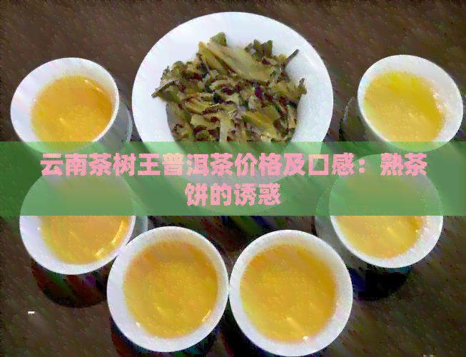 云南茶树王普洱茶价格及口感：熟茶饼的诱惑