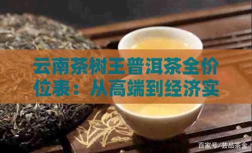 云南茶树王普洱茶全价位表：从高端到经济实，一应俱全的详尽价格指南