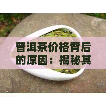 普洱茶价格背后的原因：揭秘其独特魅力与高品质价值