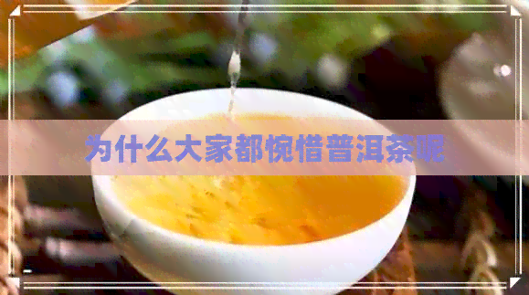 为什么大家都惋惜普洱茶呢