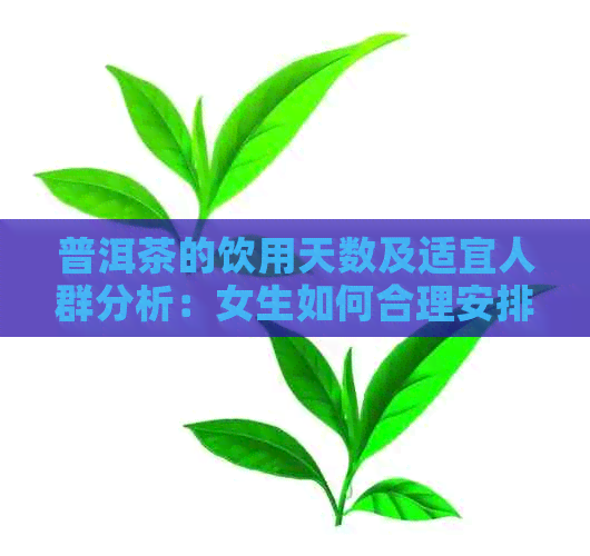 普洱茶的饮用天数及适宜人群分析：女生如何合理安排喝茶时间？